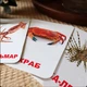 Карточки Домана "Морские жители" на русском языке, 24 шт - изображение 2