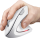 Мышь Trust Verto Ergonomic Wireless White (TR25132) - изображение 6