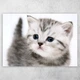 Плакат постер CupKit "Коты" №28 А4 21х29,7 см - изображение 1