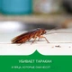 Гель приманка от тараканов и муравьев Hot Shot Ultra Clear 60 мл - изображение 7