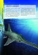 Про все на світі маленьким українцям (9789669890450) - зображення 6