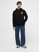 Худи мужское The North Face NF0A84GKUDI1 S Черное (196575504903) - изображение 3