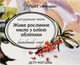 Мило живе рослинне з олією обліпихи - Фіторія Handmade Soap 110g (1140513-124284) - зображення 1
