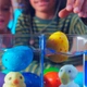 Растущая игрушка в яйце - Птички - изображение 5