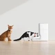 Розумна автоматична годівниця для домашніх тварин Catlink Automatic Feeder FRESH 2 Luxury (CL-FD-02) - зображення 12