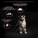 Сухий корм для цуценят Purina Pro Plan Medium Puppy Sensitive з лососем 12 кг (7613035120389) - зображення 8