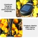 Світильник Лампочка 8 LED Для Саду Декоративний Водонепроникний Ліхтар Для Клумби на Дачу з Датчиком Світла на Сонячній Батареї - зображення 4