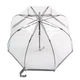 Зонт-трость женский Fulton Birdcage-1 L041 Silver (Серебряный) - изображение 2