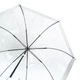 Жіноча парасолька-тростина прозора Fulton Birdcage-1 L041 White (Білий) - зображення 6