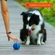 Інтерактивний м'яч для собак Dog Treat Toy Ball, Small sky blue - зображення 5