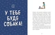 Дітям про дресирування собак (9786170985231) - изображение 3
