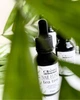 Засіб для профілактики грибка та оніхолізису Crooz Nail Elixir Tea Tree 15 мл (Чайне дерево) - зображення 4