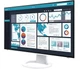 Монитор Eizo FlexScan EV2495-WT (EV2495-WT) EU - изображение 3