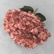 Букет искусственных гортензий терракотовых BG 0123 - изображение 1