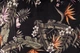 Стілець з оббивкою K-506 Halmar 55x82x60 (V-CH-K506-KR) 167107 - зображення 11