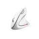 Мишка Trust Verto Ergonomic Wireless White (25132) - изображение 1