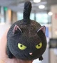 Антистрес іграшка тягучка милий товстий "Злий кіт" "Злі коти" Angry cat 10х9х7 см Чорний - зображення 3
