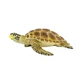Фигурка Головастая черепаха Safari Ltd 220229 - изображение 4