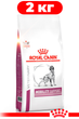 Сухой корм Royal Canin Mobility Support для собак лечебный 2кг - изображение 1