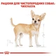 Влажный корм Royal Canin Chihuahua для взрослых собак породы чихуахуа в возрасте от 8 месяцев 85г - изображение 2