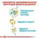 Сухой корм Royal Canin Yorkshire Puppy для щенков породы йоркширский терьер 0.5кг - изображение 3
