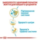 Сухой корм Royal Canin Pug Puppy для щенков мопса 1.5 кг - изображение 3