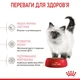 Сухой корм для котят Royal Canin KITTEN возрастом до 12 месяцев 4кг - изображение 3