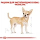 Сухой корм Royal Canin Chihuahua Adult для взрослых собак породы чихуахуа в возрасте от 8 месяцев 3кг - изображение 3