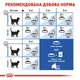 Сухой корм Royal Canin Indoor для взрослых кошек 20 кг - изображение 4