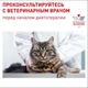 Сухой корм Royal Canin Neutered Satiety Balance Cat диетический для взрослых стерилизованных кошек 12кг - изображение 2