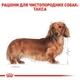 Сухий корм Royal Canin Dachshund Adult для собак породи такса 1.5 кг - зображення 2
