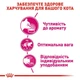 Сухий корм Royal Canin Fussy Exigent Aromatic для дорослих котів вибагливих до аромату корму 4кг - зображення 2
