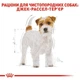 Сухой корм Royal Canin Jack Russel Adult для взрослых собак породы джек-рассел-терьер 15кг - изображение 2