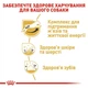 Сухой корм Royal Canin Jack Russel Adult для взрослых собак породы джек-рассел-терьер 15кг - изображение 3