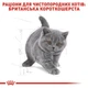 Сухой корм Royal Canin Kitten British Shorthair для котят породы британская короткошерстная 0.4кг - изображение 2