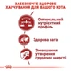 Сухой корм Royal Canin FIT 32 для активных кошек 2кг - изображение 2