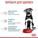 Сухой корм Royal Canin Maxi Puppy для щенков крупных пород 4кг - изображение 3