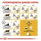 Сухий корм Royal Canin Sphynx Adult для котів породи сфінкс від 12 місяців 4 кг - зображення 5
