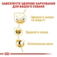 Сухой корм Royal Canin Golden Retriever Adult для собак породы голден-ретривер 12кг - изображение 3