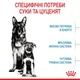 Сухой корм Royal Canin Maxi Starter в период беременности и лактации, щенков до 2 месяцев 8кг - изображение 3