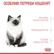 Сухой корм для котят Royal Canin KITTEN возрастом до 12 месяцев 4кг - изображение 2