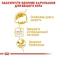 Сухой корм Royal Canin Adult Persian для взрослых кошек персидской породы 2кг - изображение 3