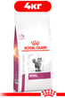 Сухой корм для взрослых кошек Royal Canin RENAL CAT при заболеваниях почек 4кг - изображение 1