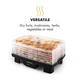 Дегидратор KLARSTEIN Bananarama 550W 6 уровней (10027831) - изображение 6