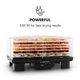 Дегидратор KLARSTEIN Bananarama 550W 6 уровней (10027831) - изображение 7