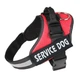 Шлея для котов и кошек усиленая Pet Style "Service Dog" Красная M - изображение 1