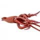 Фигурка Гигантский Кальмар Safari Ltd 45,0 см 212302 - изображение 5
