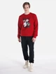 Свитшот мужской Colin's CL1066431-RED XS Красный (8683197901781) - изображение 3