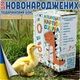 Подарочный бокс развивающих карточек Домана "Для новорожденных" на украинском языке, 10 наборов - изображение 1