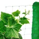 Сетка Огуречная 1.7м х 500м AgroStar (Китай) шпалерная для подвязки огурцов - изображение 3